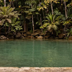 Emerald Pool & Hot Springs